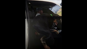 Thumbnail of GTA V | Chop Is Invincible 💀🥀