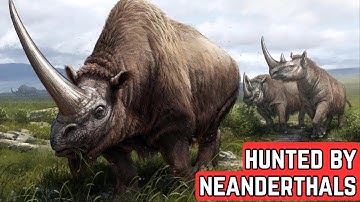 The Monster Mammal Humans Use to Hunt