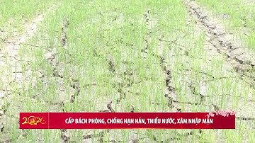 Cấp bách phòng, chống hạn hán, thiếu nước, xâm nhập mặn