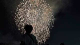【鹿児島】錦江湾サマーナイト大花火大会｜石橋公園から見たよ