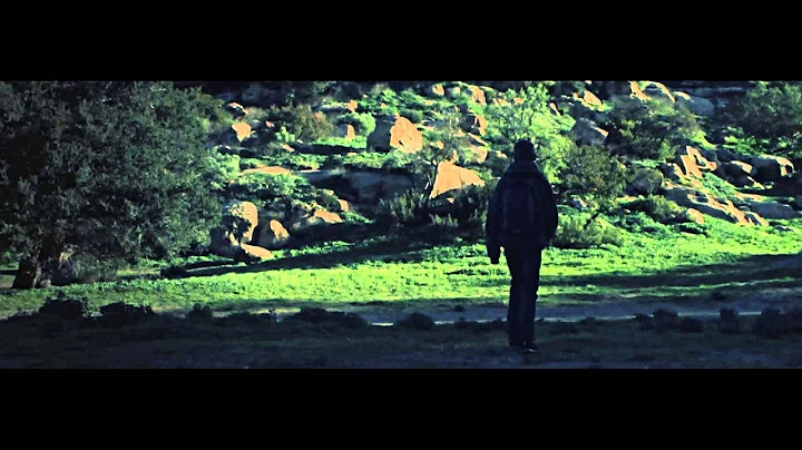 Hardwell feat. Amba Shepherd - Apollo (Official Mu...