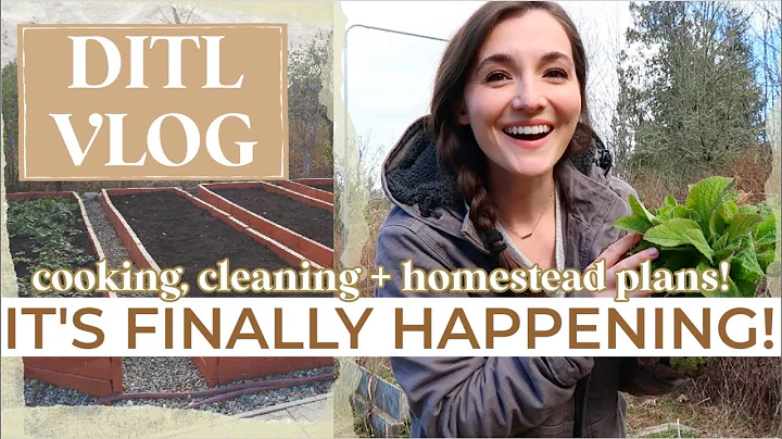 EXCITING UPDATE! Homestead Projects & Plans! Productive + Peaceful Days In My Life cook with me!