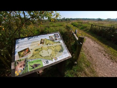 Peaceful Walk through Tameside Nature Reserve, UK Walking Tour, English Countryside in 4K.