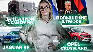 AUTONEWS. Итоги недели: новые штрафы, важное изменение с 1 ноября, охотники на камеры