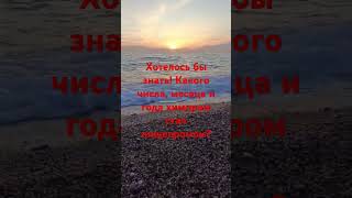 Житие бытие#организм#человек#фильтр#shorts