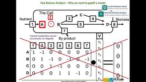 Building and Using Metabolic Models in KBase | 2021 EMSL Summer School