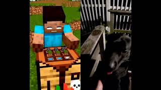 #minecraft #thebeardedunc #gunner #subscribe #duet #funny #gaming #memes #colab #minecraftbuilding