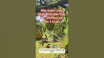 Đât Vườn - Nhà Vườn Long Khánh Đồng Nai. Vườn trái cây Long Khánh #bdsdongnai #nhadatlongkhanh