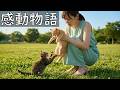 母とはぐれ、兄とも引き離された子猫。その最期は【猫感動物語】