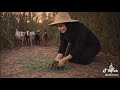 أغنية إنهد حيلي كلمات وألحان وأداء طاهر صيرم 