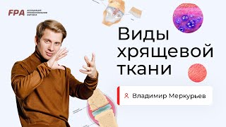 Виды хрящевой ткани | Владимир Меркурьев (FPA)