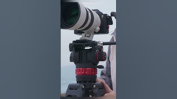 NEEWER TP75 74 Pro Video Tripod with Fluid Head