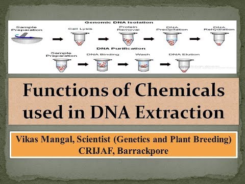 डीएनए निष्कर्षण में प्रयुक्त रसायनों के कार्य | विकास मंगल (एआरएस- चौथी रैंक)