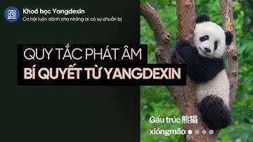 Tự học tiếng Trung NHẤT ĐỊNH PHẢI XEM!!! Quy tắc & Bí quyết phát âm /yi ya ye wo wa yu yun yuan/