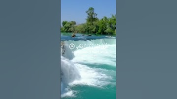 أنشر مقطع أجر لي ولكم عظيم (قارئ عبد الرحمن مسعد)