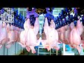 Ever wondered how kfc chicken is made join us on this fantechstic factory tour