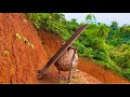 Khai Thác Tổ Ong Cắn Lá Nuôi Sát Mặt Đất | Săn Bắt và Trải Nghiệm
