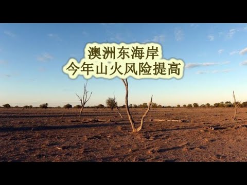 【0901晚间新闻播报】澳洲东海岸今年山火风险提高；新州取消教师每五年认证；新州流失大量护士