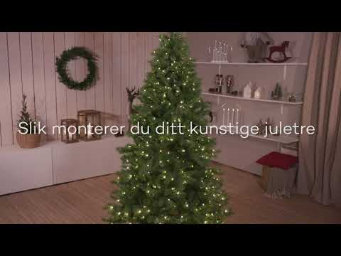 Video: Blomstrende Juletre - For Nyttårsferien