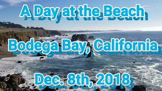 A Day at the Beach Bodega Bay, California - Dec 8th, 2018