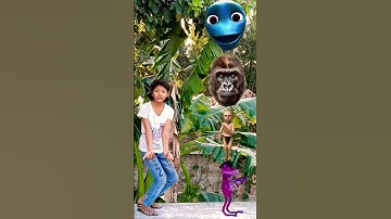 Upin ipin head to dancing frog., joker,gorilla& red dame tu cosita - magic vfx
