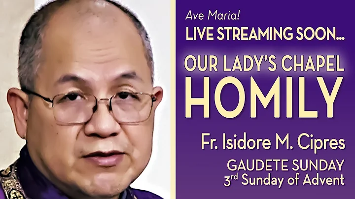 "Gaudete" Means Rejoice! - 3rd Sunday of Advent - Dec 15 - Homily - Fr Isidore