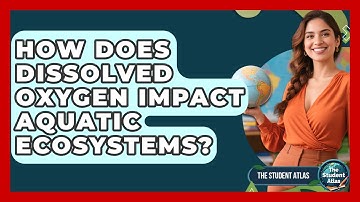 How Does Dissolved Oxygen Impact Aquatic Ecosystems? - The Student Atlas