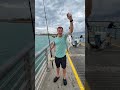 मछली पकड़ने का रोमांच! पियर से पकड़ी शानदार मछली | Fishing Adventure from Pier.#fishing #fish#nature