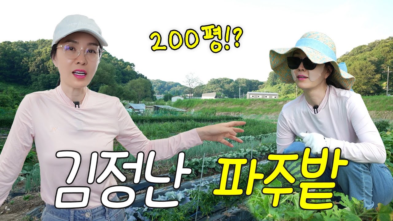 파주 200평대 밭에서 수박부터 양배추까지! 직접 캐는 배우 김정난