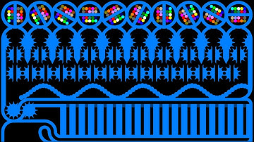 The Team Marble Race 4 in Algodoo