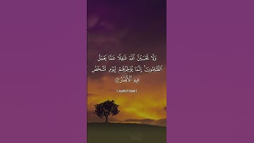 وَلَا تَحْسَبَنَّ اللَّهَ غَافِلًا عَمَّا يَعْمَلُ الظَّالِمُونَ....الآية بصوت أبي المنتصر العشارة