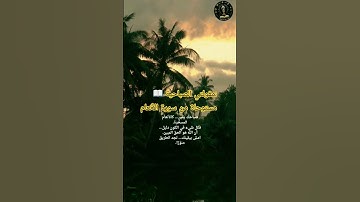 #رسالة #صباحية #لقلبك 📖 #مقولتي #الصباحية:سورة الأنعام #آيات يوتيوبExplore the #Quran# Saada#