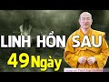 LINH HỒN Người Mất Đi Đâu, Làm Gì, Trong 49 Ngày? Có Về Nhà Được Không? (Vấn Đáp Rất Hay)