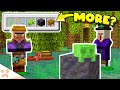 A Closer Look At the New Mangrove Swamp Biome! | Minecraft Snapshot 22w14a Continued!