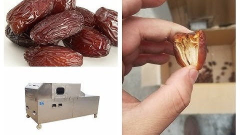 automatic Date  Pitting Machine|Emirates Date Pitting Machine|date kernel removal machine