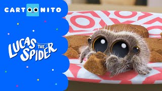 Explore New Episodes of 'Total Dramarama,' 'Lucas the Spider,' and More on  Cartoonito This Month - The Toy Insider