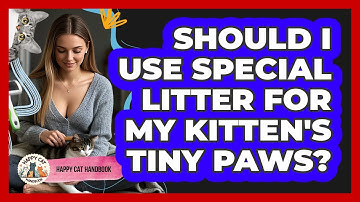 Should I Use Special Litter For My Kitten