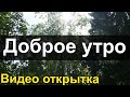 ЧТОБ ДЕНЬ БЫЛ ПОЛОН СЧАСТЬЯ И ВЕЗЕНИЯ! Красивая Видео Открытка с Добрым Утром