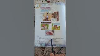 Zzdec d tweṭṭuft ( aswir wis 5)