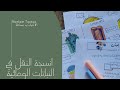 احياء اول ثانوي | النقل في النبات |(أنسجة النقل في النباتات الوعائية)المعلمة:مريم طقاطقه احياء اول ثانوي | النقل في النبات |(أنسجة النقل في النباتات الوعائية)المعلمة:مريم طقاطقه