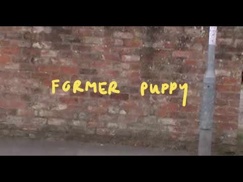 Personal Trainer - Former Puppy (official video)