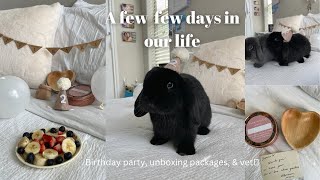 A few days in our life (: | Going to the vet, unboxing packages, & birthday party by Dumbo and Bear 690 views 1 year ago 9 minutes, 31 seconds