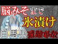 【ゆっくり解説】防寒具はリュックの中のまま…氷漬けになっていた遭難者【2012年 白馬岳遭難事故】