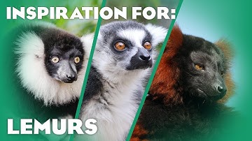 14 Mixed Lemur Habitats! (Planet Zoo Inspiration)