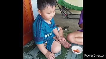 Món Tôm hấp nước dừa miền quê.