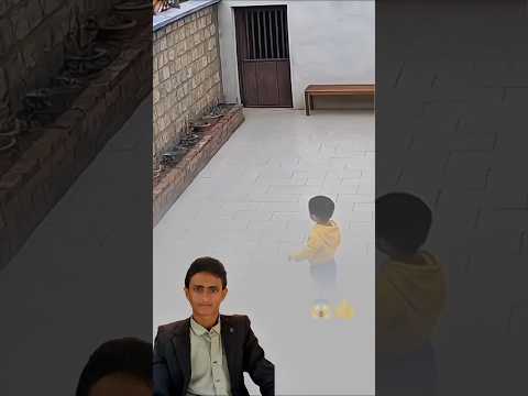 قوة الشجاعة لا تقاس بالحجم بل بالتصرف والقطة أثبتت ذلك 