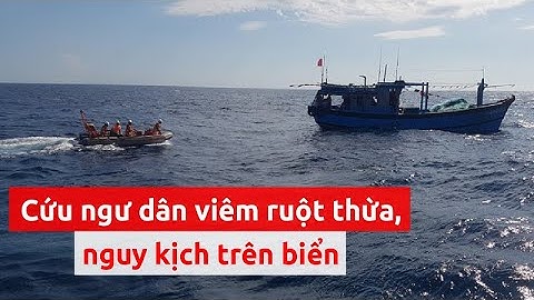 Tàu SAR 412 cứu ngư dân viêm ruột thừa, nguy kịch trên biển - PLO