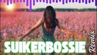 🔥 Beste Afrikaans - SUIKERBOSSIE Remix | ‪‪‪@dj-boere-troos  (African Fusion) 🎯