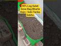 90% Log Galat Grow Bag Bharte Hain | Sahi Tarika Dekho#terracegardenindia #garden #plantsofindia