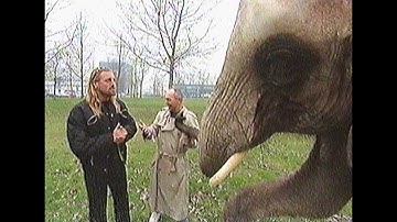 John de Wolf op een olifant | 1999